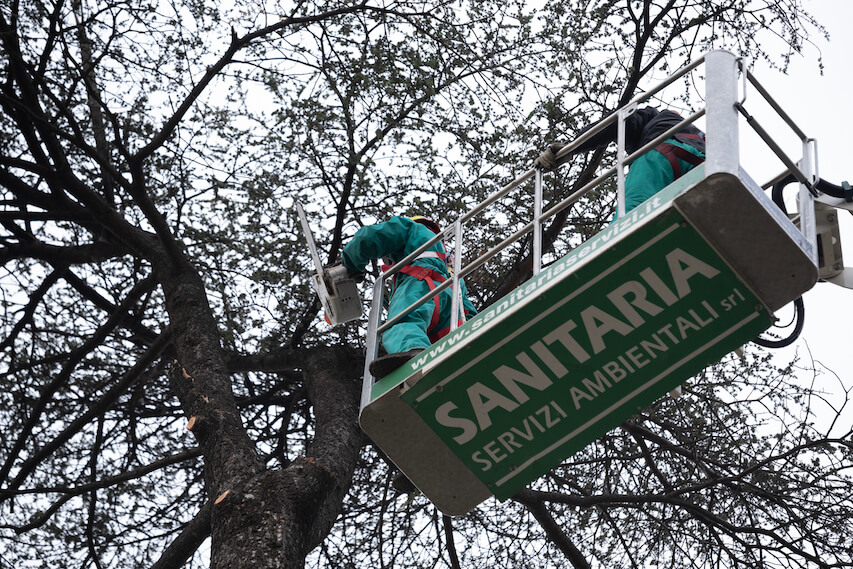 Sanitaria Servizi Ambientali Potature Alberi